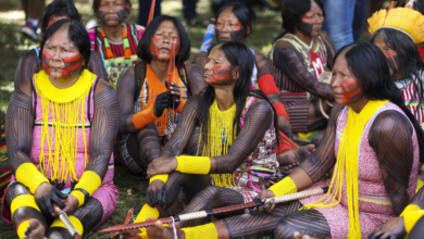 Censo do IBGE: Brasil tem 1,7 milhão de indígenas (Créditos: Agência Brasil)