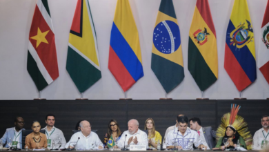 Lula diz que Bolsonaro 'abriu as portas para os ilícitos ambientais na Amazônia' (Créditos: Agência Brasil)