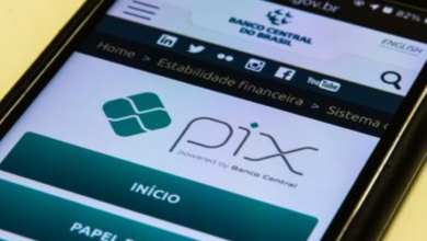 Novo golpe do Pix esconde esquema de pirâmide financeira e começa pagando R$20 (Créditos: Agência Brasil)