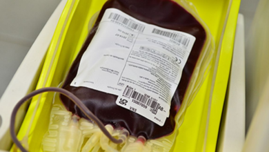 “Trabalhamos para que o sangue não seja mercadoria“, afirma Nísia Trindade; Congresso analisa PEC que libera venda de plasma (Créditos: Agência Brasil)