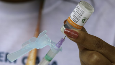 Especialistas reforçam importância da vacinação nas escolas para aumentar adesão (Créditos: Agência Brasil)