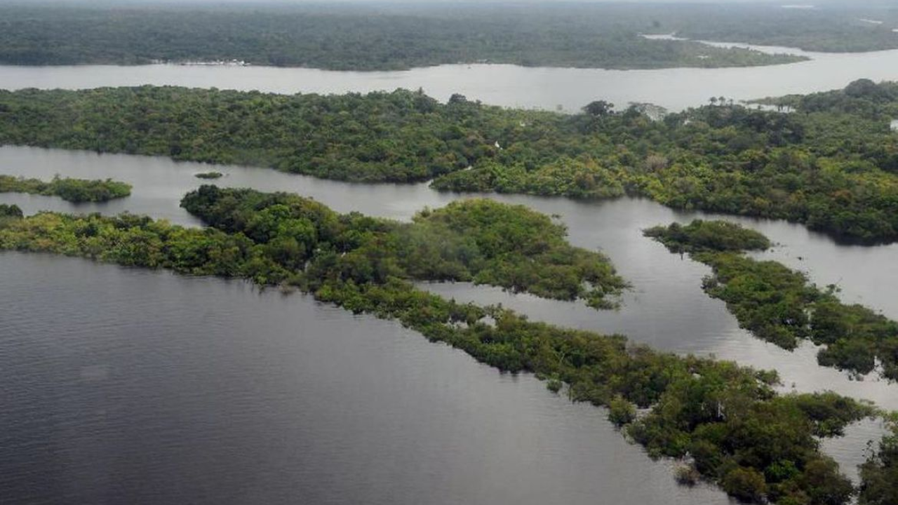 Doença da urina preta: aumento no número de casos gera alerta no Amazonas (Créditos: Agência Brasil)