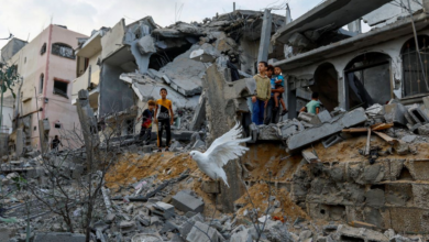Israel nega apelo internacional por cessar-fogo em Gaza (Créditos: Agência Brasil)