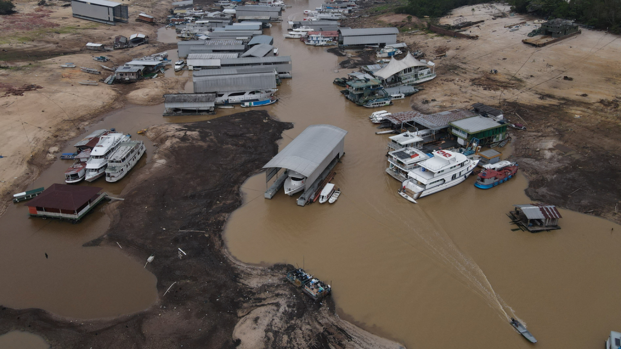 Virou deserto? Rio Negro tem pior seca dos últimos 121 anos (Créditos: Agência Brasil)