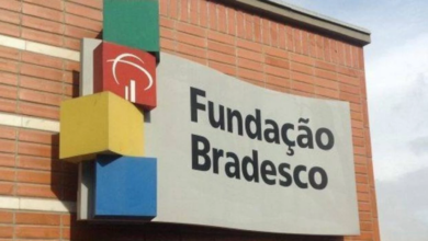 Fundação Bradesco abre vagas gratuitas para Educação Infantil 2024