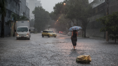 Apagão em São Paulo: Mais de 400 mil residências continuam sem energia (Créditos: Agência Brasil)