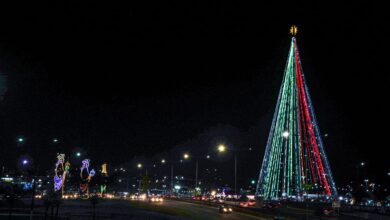 A Árvore de Mirassol possui 110 metros de altura e é considerada uma das maiores do país. Fica iluminada todos os anos no ciclo natalino que se estende até 6 de janeiro (Foto: Alex Régis / Prefeitura)
