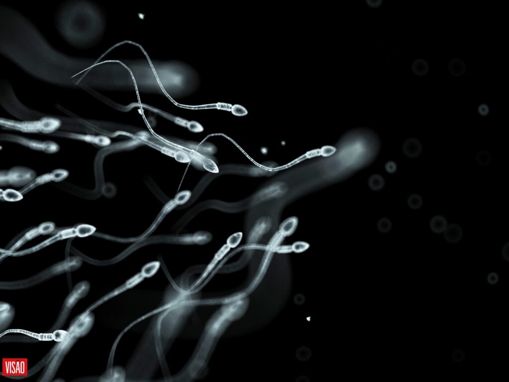 Estudo propõe o uso frequente de celular pode impactar na fertilidade masculina devido a redução na concentração de espermatozoides no sêmen. (Imagem: Divulgação)