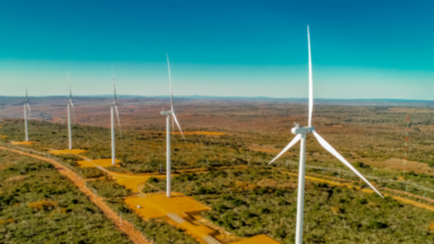 Região do Seridó ganhará complexo voltado a energia eólica (Foto: divulgação/EDF Renewables)