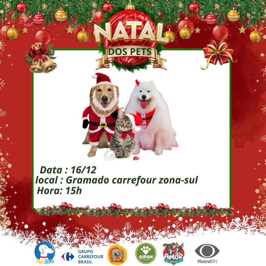 O Cão Noel e da Mamãe Noel estarão presentes no "Natal dos Pets" garantindo a alegria e a magia do Natal. (Imagem: Divulgação / Natal dos Pets)