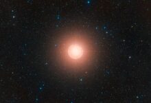 Betelgeuse, uma das estrelas mais proeminentes e facilmente reconhecíveis no céu noturno