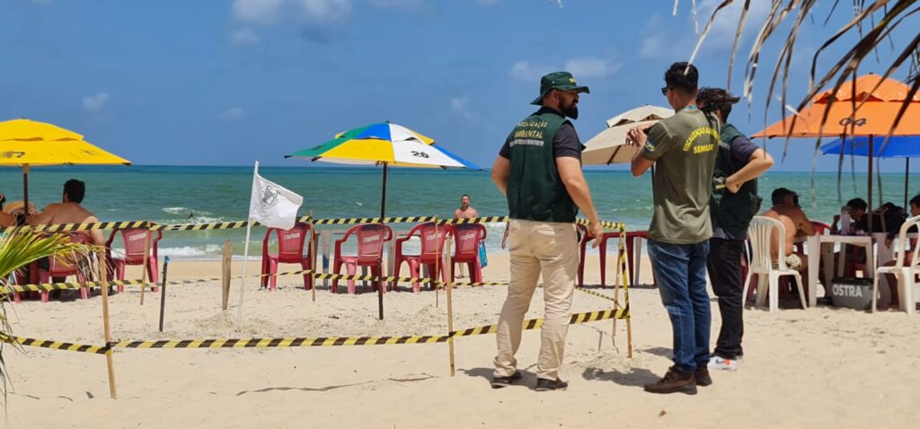 Caso encontre ninhos de tartaruga, o corretor a fazer é avisar imediatamente as autoridades ambientais. (Foto: Ney Douglas / Prefeitura de Parnamirim)