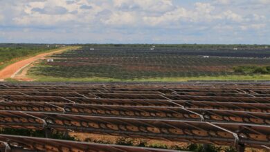 RN inaugura Complexo Solar com investimentos de R$ 2,1 bilhões de empresas da Noruega