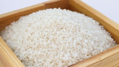 Brasil vai importar arroz do Mercosul devido a enchentes no RS