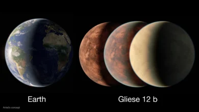 TESS da NASA encontra mundo intrigante do tamanho da Terra e Vênus