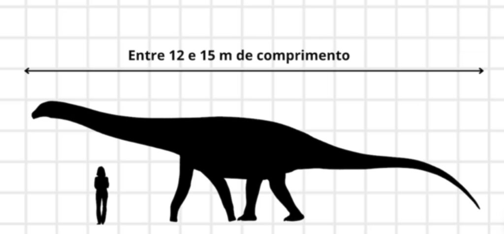 Pesquisadores da UFRN descobrem novas pegadas de dinossauro que viveu há 125 milhões de anos Sousatitanosauripus robsoni